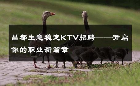 昌都生意稳定KTV招聘——开启你的职业新篇章