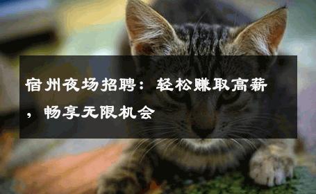 宿州夜场招聘：轻松赚取高薪，畅享无限机会