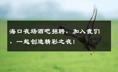 海口夜场酒吧招聘，加入我们，一起创造精彩之夜！