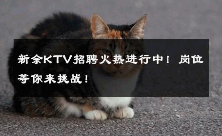 新余KTV招聘火热进行中！岗位等你来挑战！