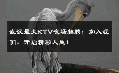 武汉最大KTV夜场招聘：加入我们，开启精彩人生！