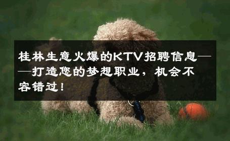 桂林生意火爆的KTV招聘信息——打造您的梦想职业，机会不容错过！