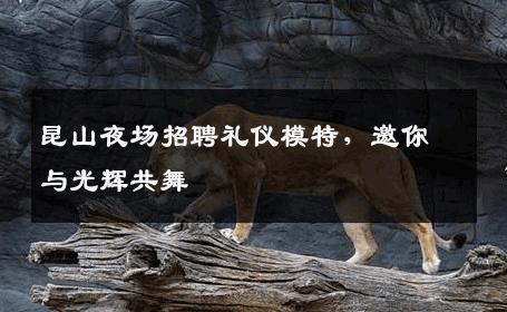 昆山夜场招聘礼仪模特，邀你与光辉共舞