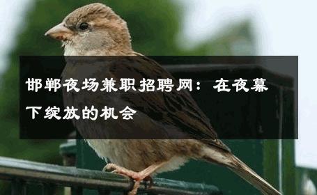 邯郸夜场兼职招聘网：在夜幕下绽放的机会