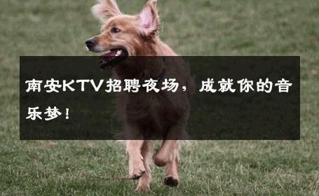 南安KTV招聘夜场，成就你的音乐梦！