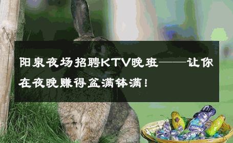 阳泉夜场招聘KTV晚班——让你在夜晚赚得盆满钵满！