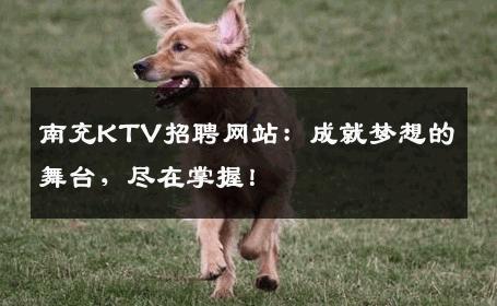 南充KTV招聘网站：成就梦想的舞台，尽在掌握！