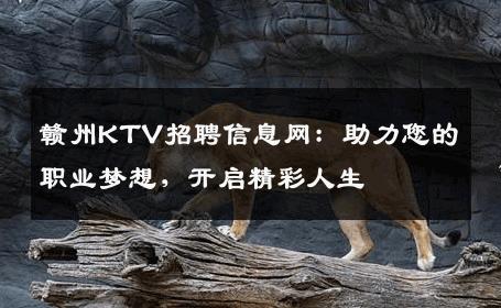 赣州KTV招聘信息网：助力您的职业梦想，开启精彩人生