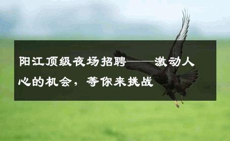 阳江顶级夜场招聘——激动人心的机会，等你来挑战
