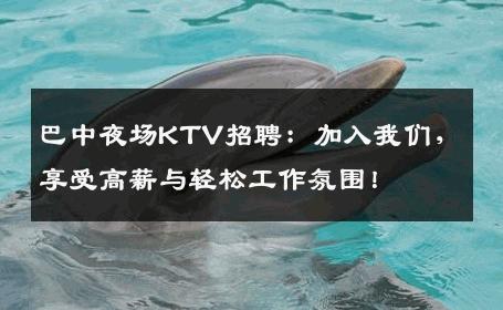 巴中夜场KTV招聘：加入我们，享受高薪与轻松工作氛围！