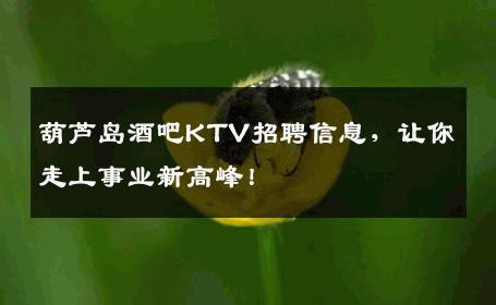 葫芦岛酒吧KTV招聘信息，让你走上事业新高峰！