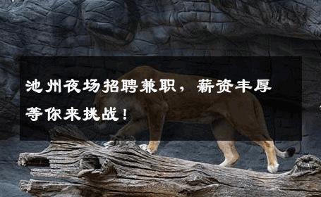 池州夜场招聘兼职，薪资丰厚等你来挑战！