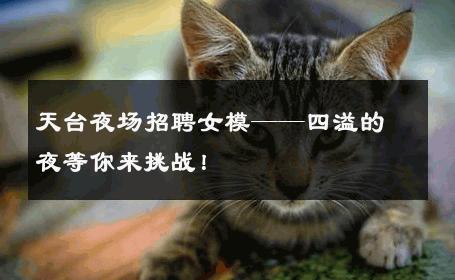 天台夜场招聘女模——四溢的夜等你来挑战！