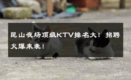 昆山夜场顶级KTV排名大！招聘火爆来袭！