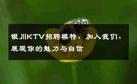 银川KTV招聘模特，加入我们，展现你的魅力与自信