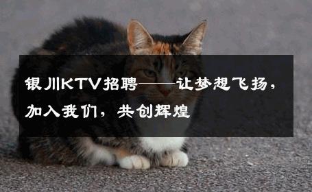 银川KTV招聘——让梦想飞扬，加入我们，共创辉煌