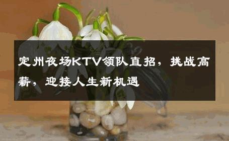 定州夜场KTV领队直招，挑战高薪，迎接人生新机遇
