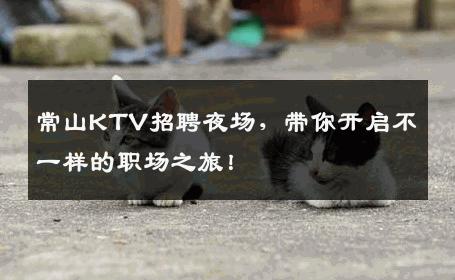 常山KTV招聘夜场，带你开启不一样的职场之旅！