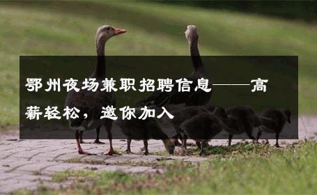 鄂州夜场兼职招聘信息——高薪轻松，邀你加入