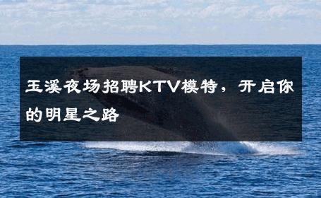 玉溪夜场招聘KTV模特，开启你的明星之路