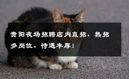 贵阳夜场招聘店内直招，热招多岗位，待遇丰厚！