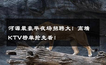 河源最豪华夜场招聘大！高端KTV榜单抢先看！