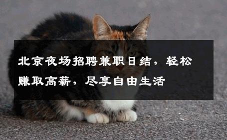 北京夜场招聘兼职日结，轻松赚取高薪，尽享自由生活