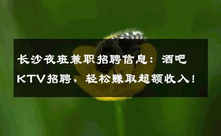 长沙夜班兼职招聘信息：酒吧KTV招聘，轻松赚取超额收入！