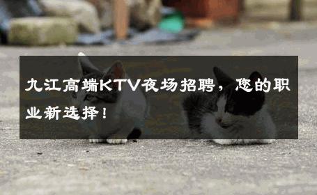 九江高端KTV夜场招聘，您的职业新选择！