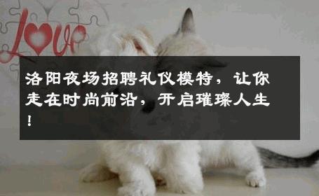 洛阳夜场招聘礼仪模特，让你走在时尚前沿，开启璀璨人生！