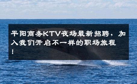平阳商务KTV夜场最新招聘，加入我们开启不一样的职场旅程！