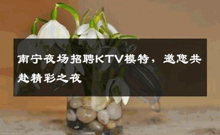 南宁夜场招聘KTV模特，邀您共赴精彩之夜