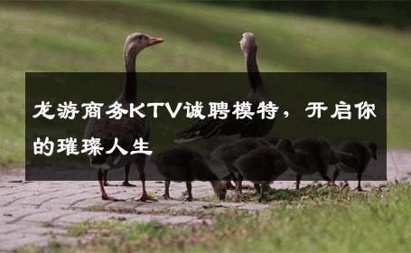 龙游商务KTV诚聘模特，开启你的璀璨人生