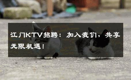 江门KTV招聘：加入我们，共享无限机遇！