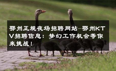 鄂州正规夜场招聘网站-鄂州KTV招聘信息：梦幻工作机会等你来挑战！