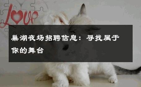 巢湖夜场招聘信息：寻找属于你的舞台