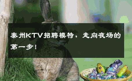 泰州KTV招聘模特，走向夜场的第一步！