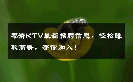 福清KTV最新招聘信息，轻松赚取高薪，等你加入！