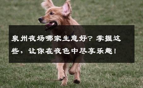 泉州夜场哪家生意好？掌握这些，让你在夜色中尽享乐趣！