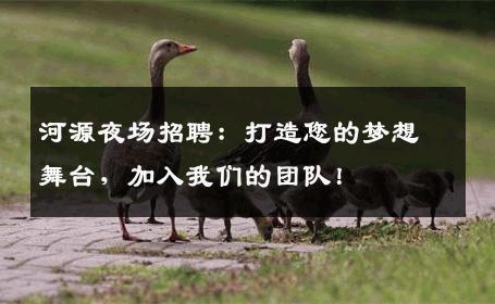 河源夜场招聘：打造您的梦想舞台，加入我们的团队！
