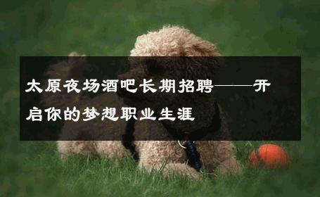 太原夜场酒吧长期招聘——开启你的梦想职业生涯