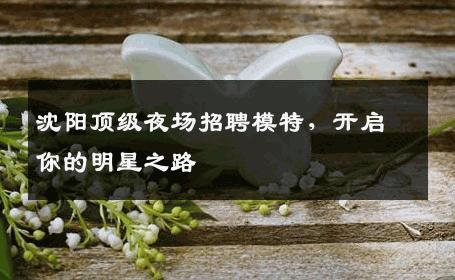 沈阳顶级夜场招聘模特，开启你的明星之路