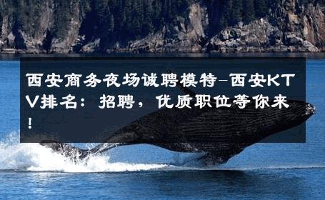 西安商务夜场诚聘模特-西安KTV排名：招聘，优质职位等你来！