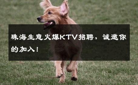 珠海生意火爆KTV招聘，诚邀你的加入！