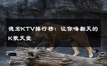 德宏KTV排行榜：让你嗨翻天的K歌天堂