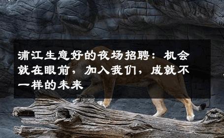 浦江生意好的夜场招聘：机会就在眼前，加入我们，成就不一样的未来