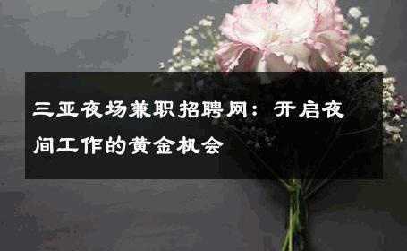 三亚夜场兼职招聘网：开启夜间工作的黄金机会