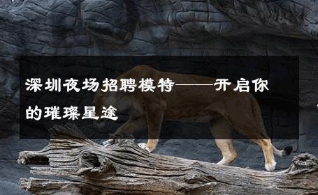 深圳夜场招聘模特——开启你的璀璨星途