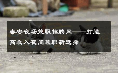 泰安夜场兼职招聘网——打造高收入夜间兼职新选择