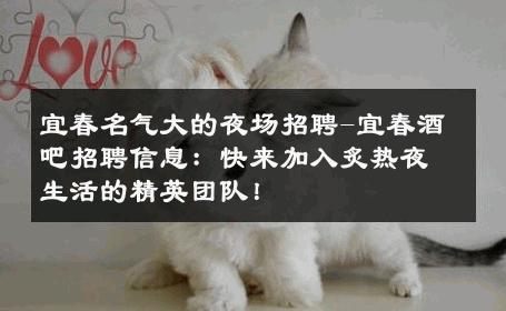 宜春名气大的夜场招聘-宜春酒吧招聘信息：快来加入炙热夜生活的精英团队！